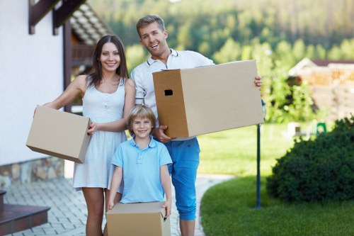 Secure storage option for furniture and boxes in Pimlico